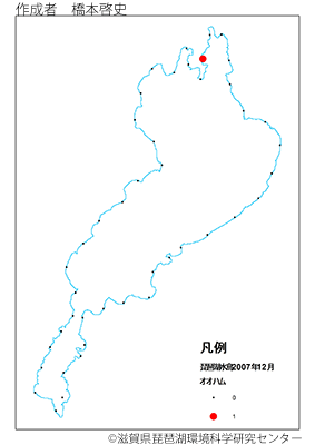 オオハム分布