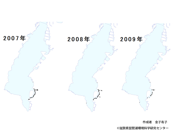 ミズヒマワリ分布