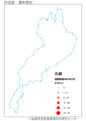 オジロワシ分布