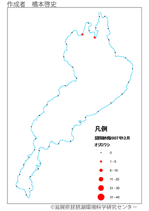 オジロワシ分布