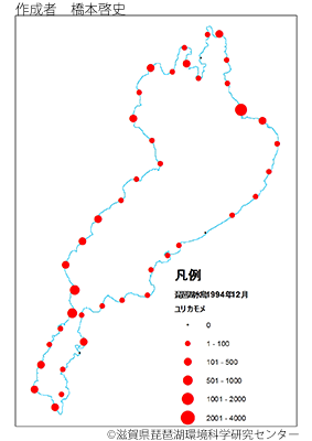 ユリカモメ分布