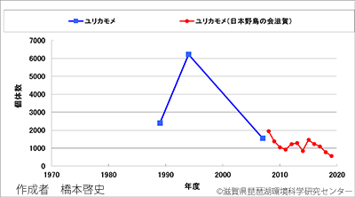 ユリカモメ越冬数