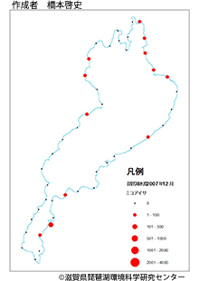 ミコアイサ分布