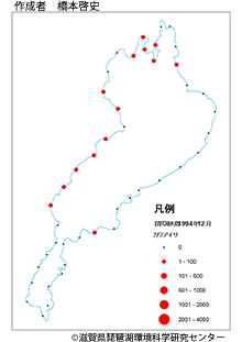 カワアイサ分布