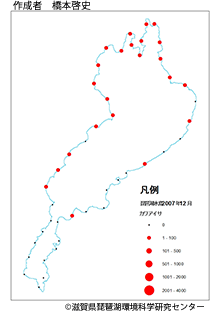 カワアイサ分布