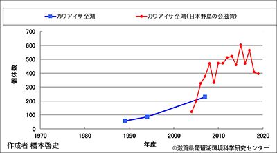 カワアイサ越冬数