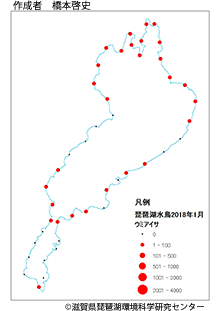 ウミアイサ分布