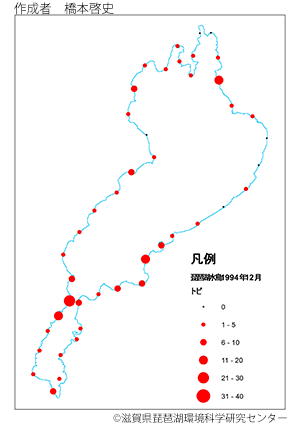 トビ分布