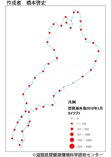 カイツブリ分布