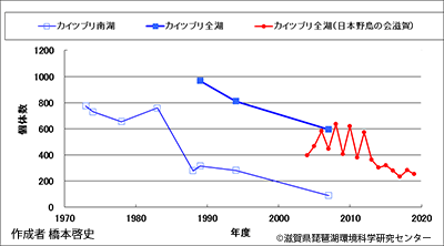 カイツブリ分布