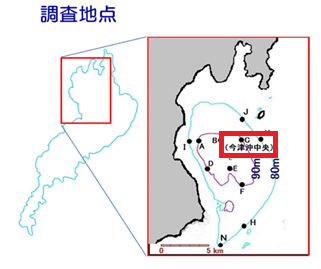 図１　調査地点（今津沖中央）