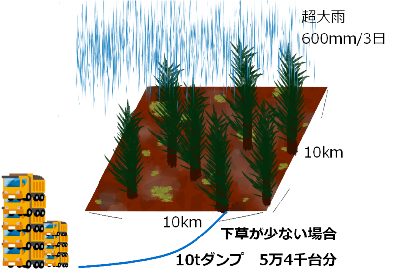 図4　下草が少ない場合の土砂流出量