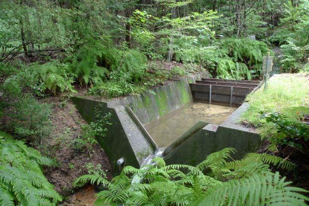 写真1　水堰（大篠原流域）