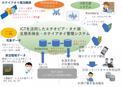 図4　タナ湖生態系保全・ホテイアオイ管理システム