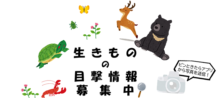 滋賀県いきものデータバンク