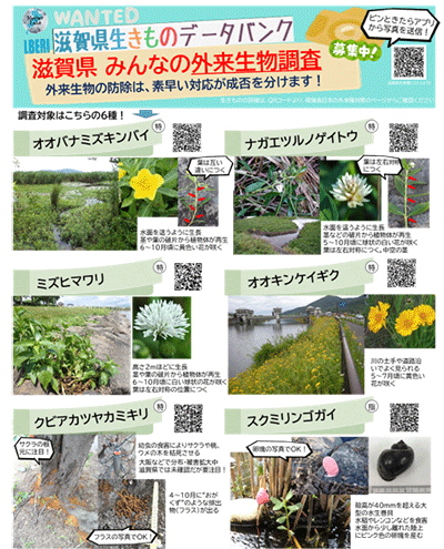 滋賀県いきものデータバンク(みんなの外来生物調査)