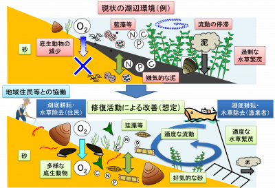 図１「里湖づくり」活動のねらい（イメージ）