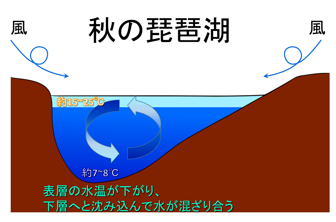琵琶湖の全層循環 滋賀県琵琶湖環境科学研究センター