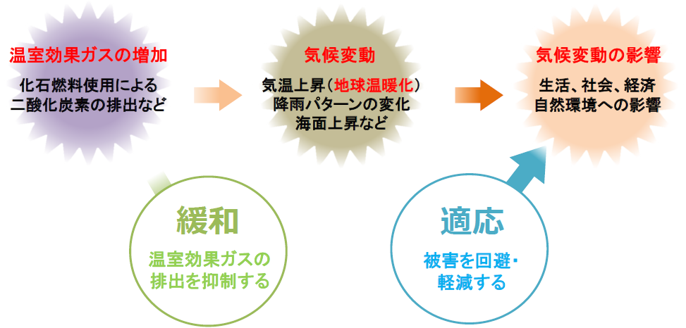 緩和策と適応策の関係